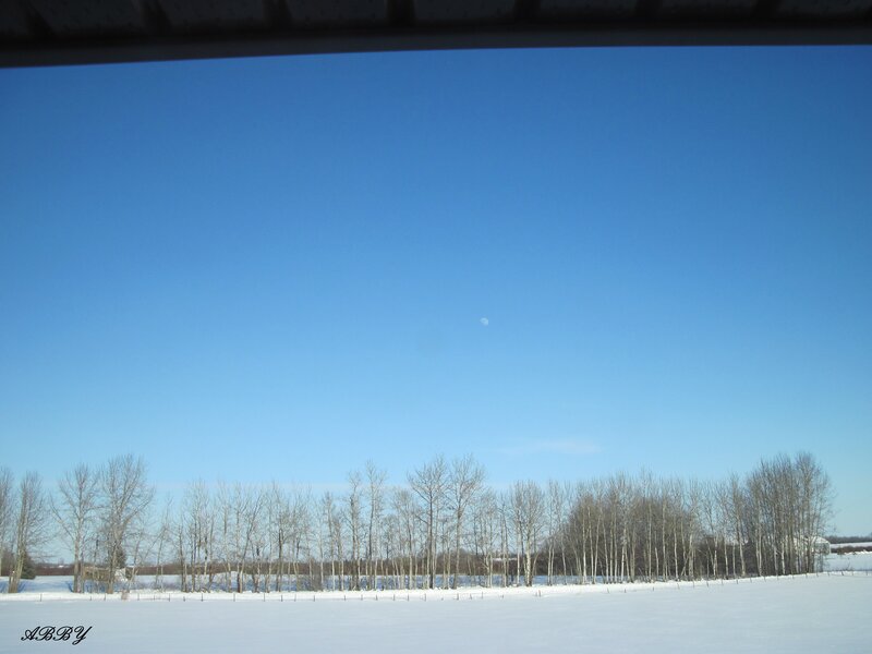 Snow-covered Field — Blue