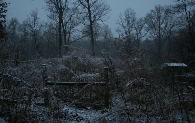 Snow-covered Field — Gray