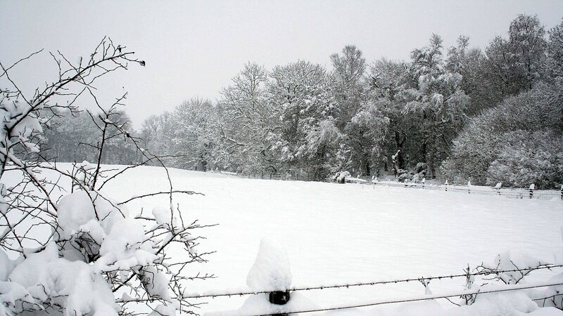 Snow-covered field in winter
