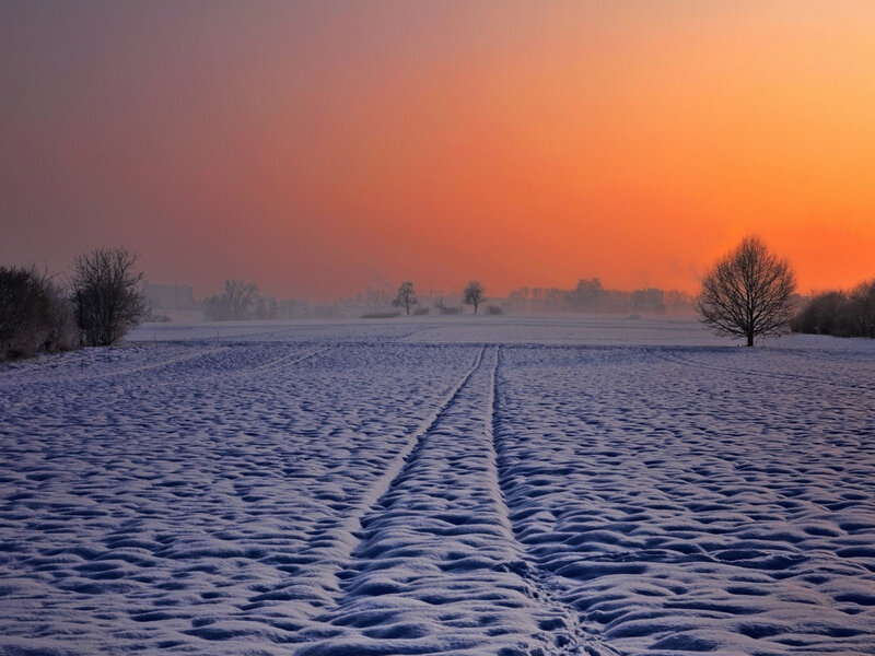 Snow-covered Field — Orange