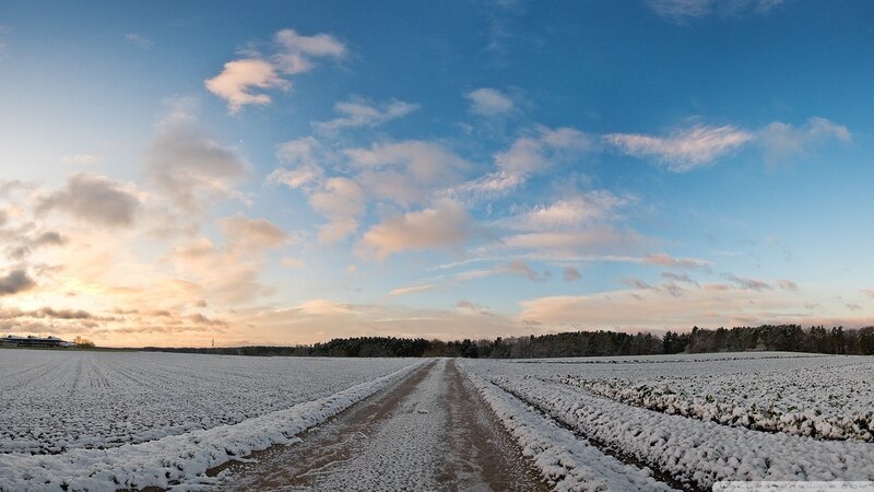 Snow-covered Field Path
