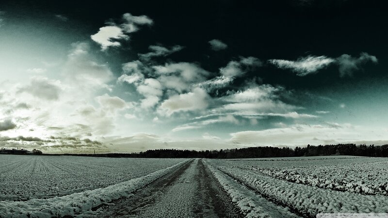 Snow-covered Field Path — White, Dramatic, Winter