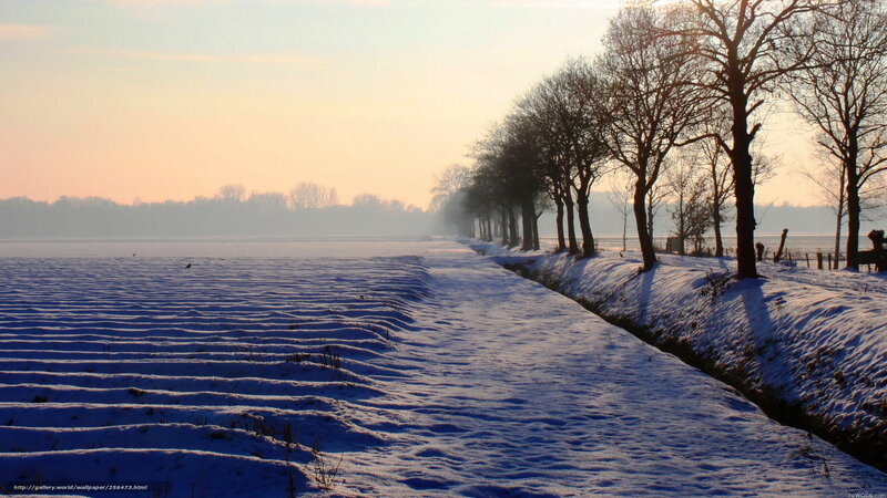 Snow-covered Field Path — White