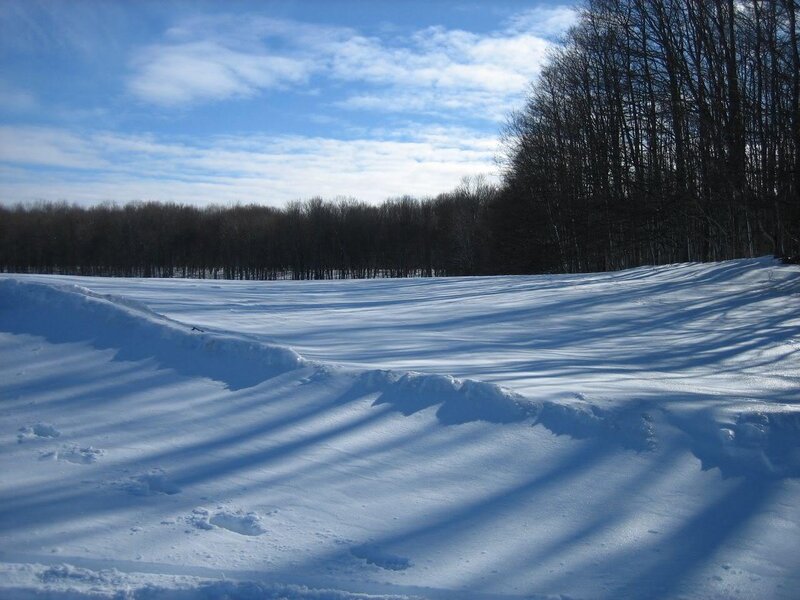 Snow-covered Field