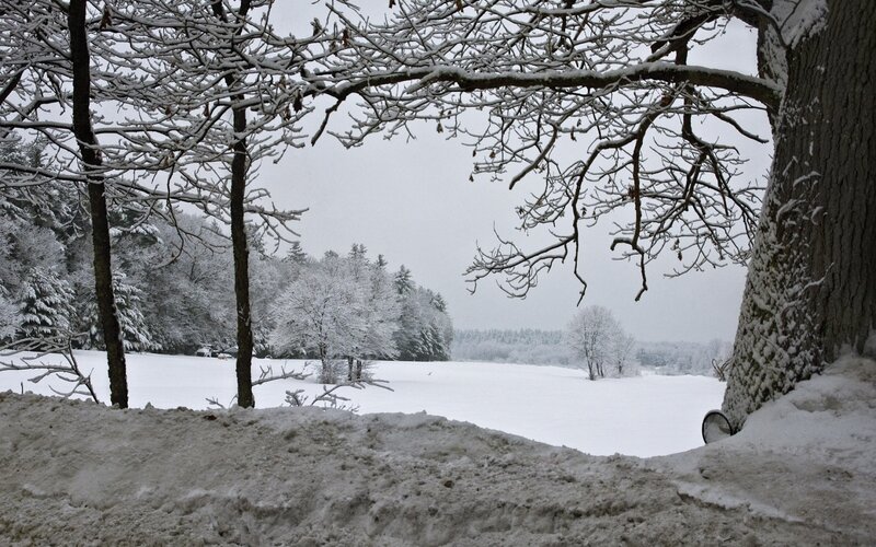 Snow-covered Field — White, Calm