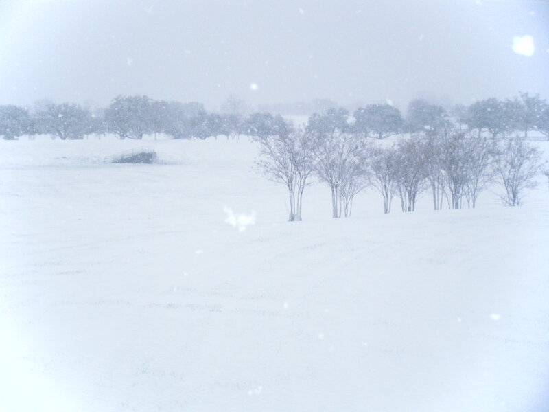 Snow-covered Field — White, Calm, Winter, Photograph