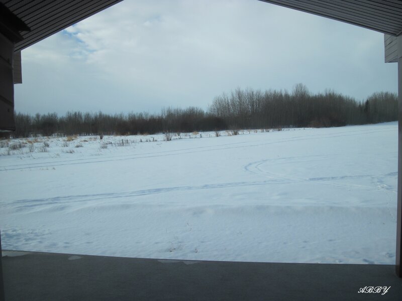 Snow-covered Field — White, Calm, Winter