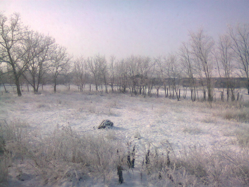 Snow-covered Field — White, Cold