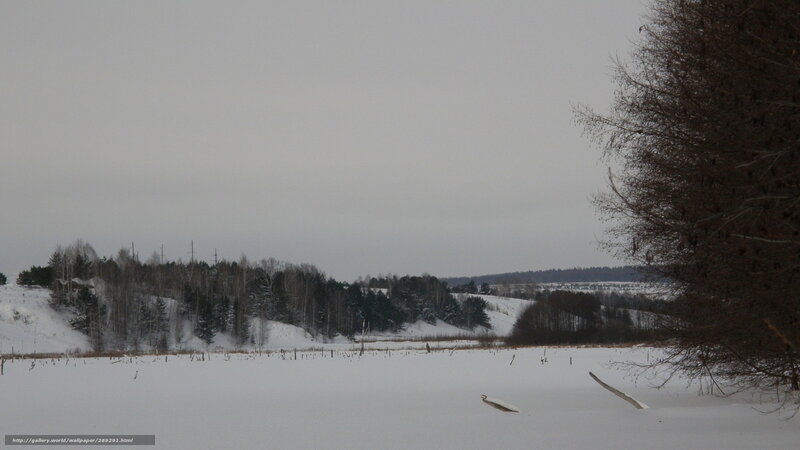 Snow-covered Field — White, Cold, Winter, Photograph