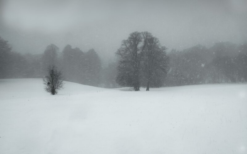 Snow-covered Field — White, Cold, Winter