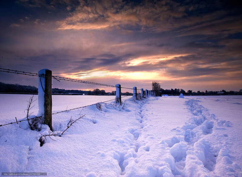 Snow-covered Field — White, Dramatic, Winter, Photograph, Fence