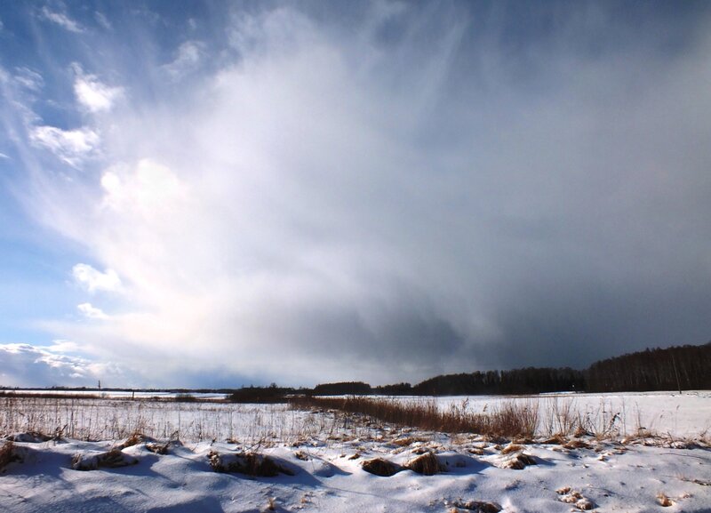 Snow-covered Field — White, Dramatic, Winter, Photograph