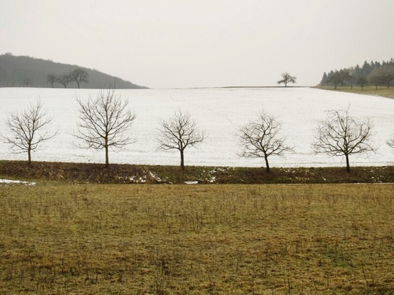 Snow-covered Field — White, Dreary