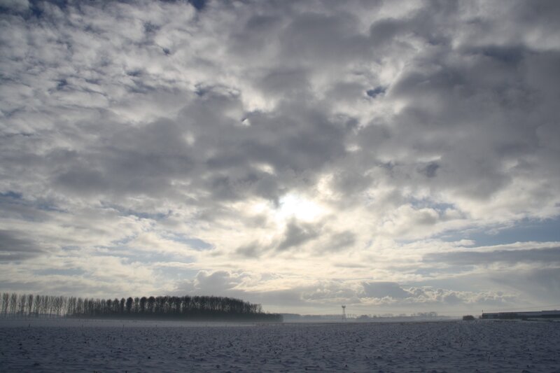 Snow-covered Field — White, Overcast