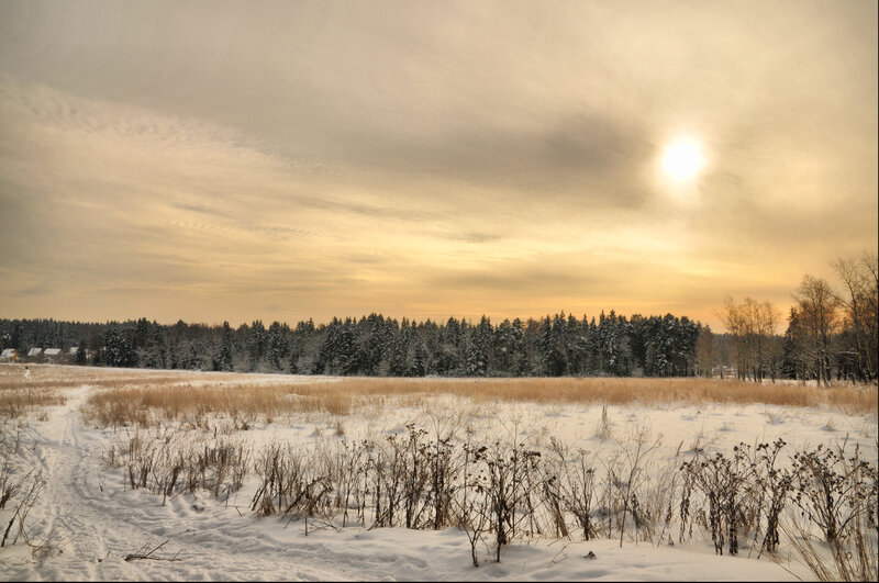 Snow-covered Field — White, Serene