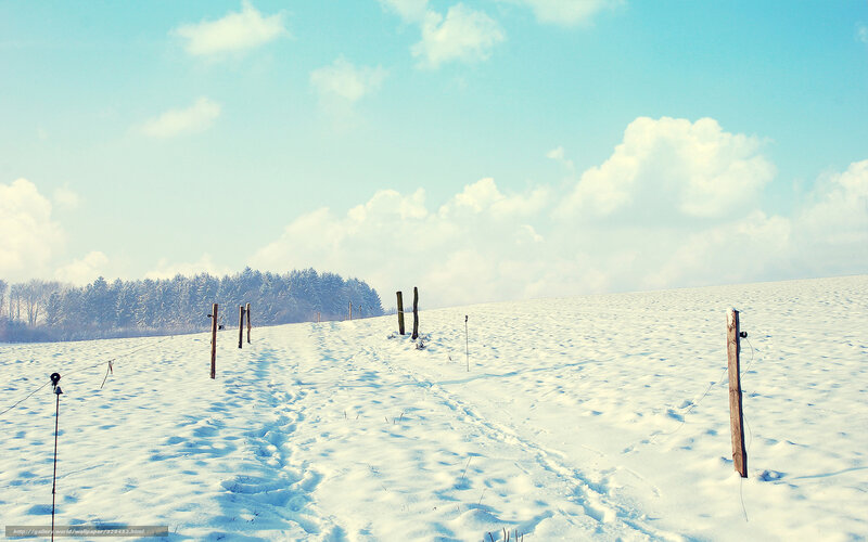 Snow-covered Field — White, Serene, Winter, Photograph, Fence Posts