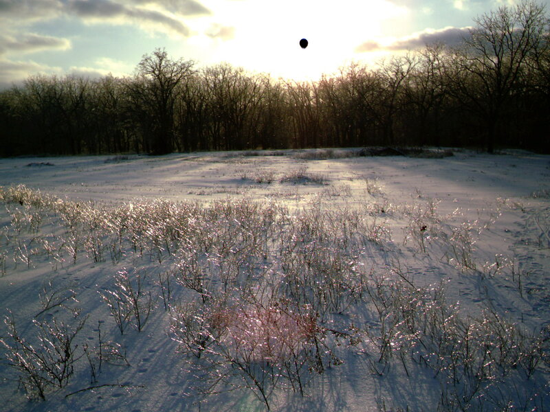 Snow-covered Field — White, Serene, Winter, Photograph