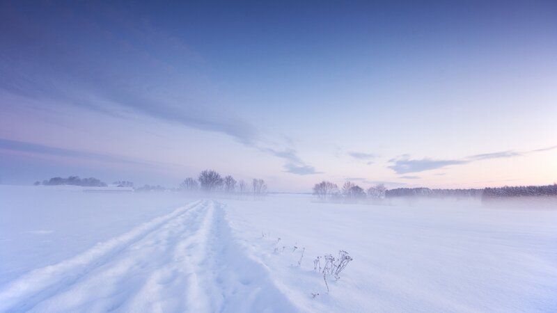 Snow-covered Field — White, Serene, Winter, Photograph, Tracks