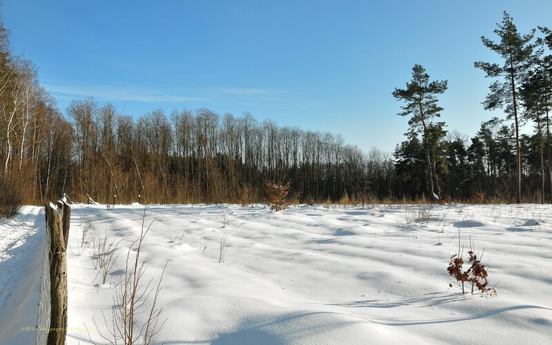 Snow-covered Field — White, Serene, Winter, Photograph, Trees, Fence, Sky, Blue, Brown