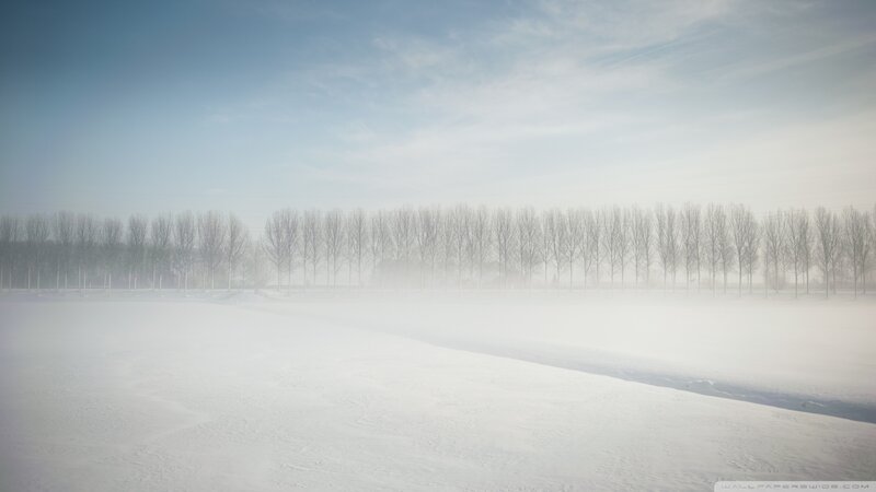 Snow-covered Field — White, Serene, Winter, Photograph, Trees, Fog