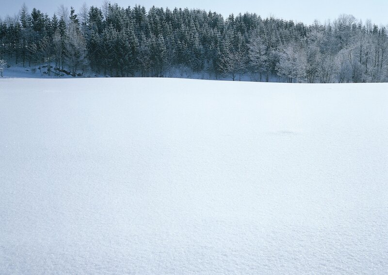 Snow-covered Field — White, Serene, Winter, Photograph, Trees, Forest, Sky