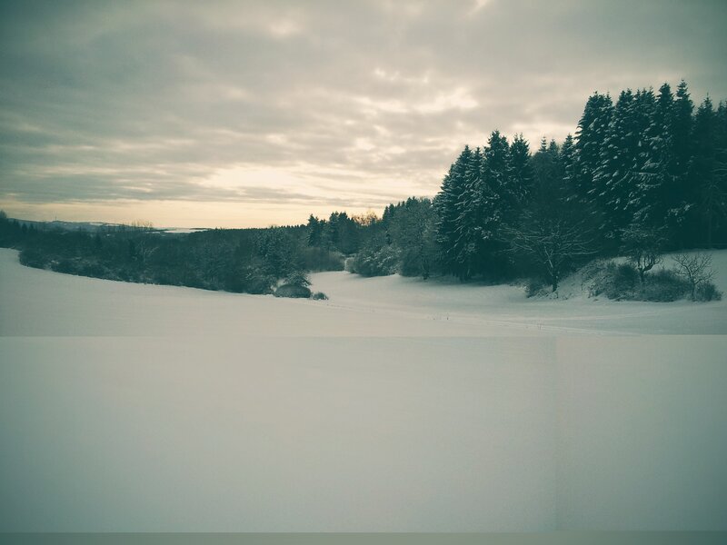 Snow-covered Field — White, Serene, Winter, Photograph, Trees, Forest