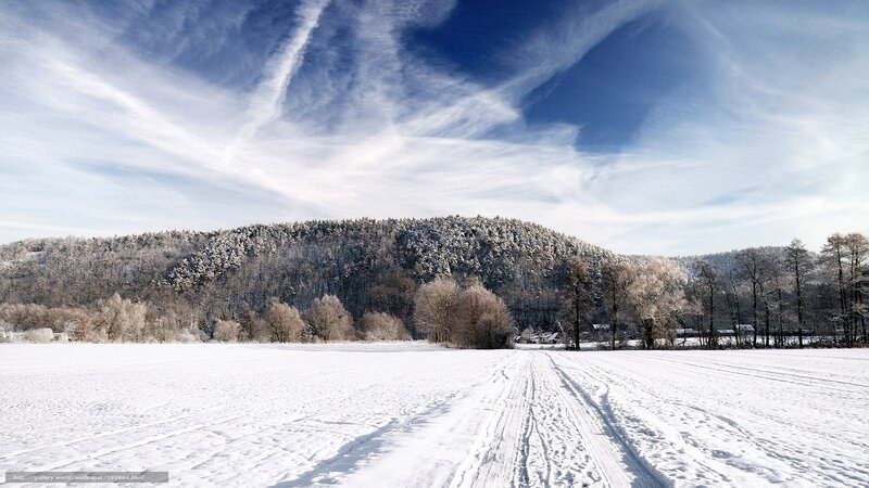 Snow-covered Field — White, Serene, Winter, Photograph, Trees, Mountain