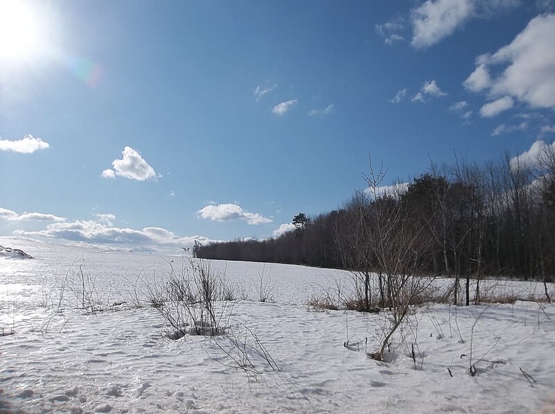 Snow-covered Field — White, Serene, Winter, Photograph, Trees, Sky