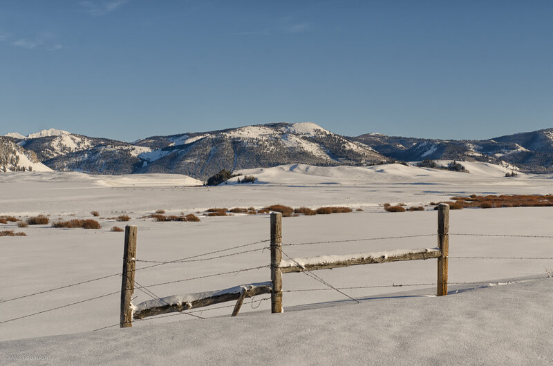 Snow-covered Field with Fence — White