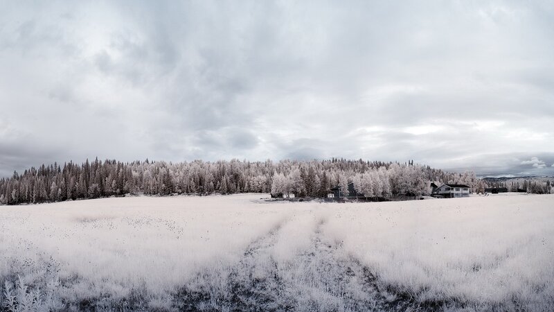Snow-covered field with forest