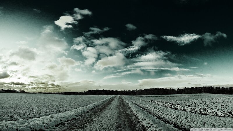 Snow-covered Field with Road