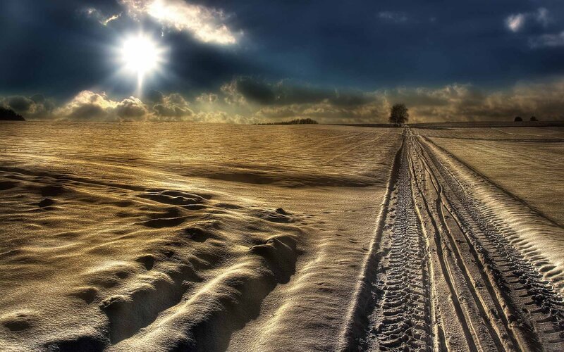 Snow-covered Field with Tracks — Brown