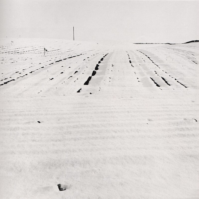 snow-covered field with tracks