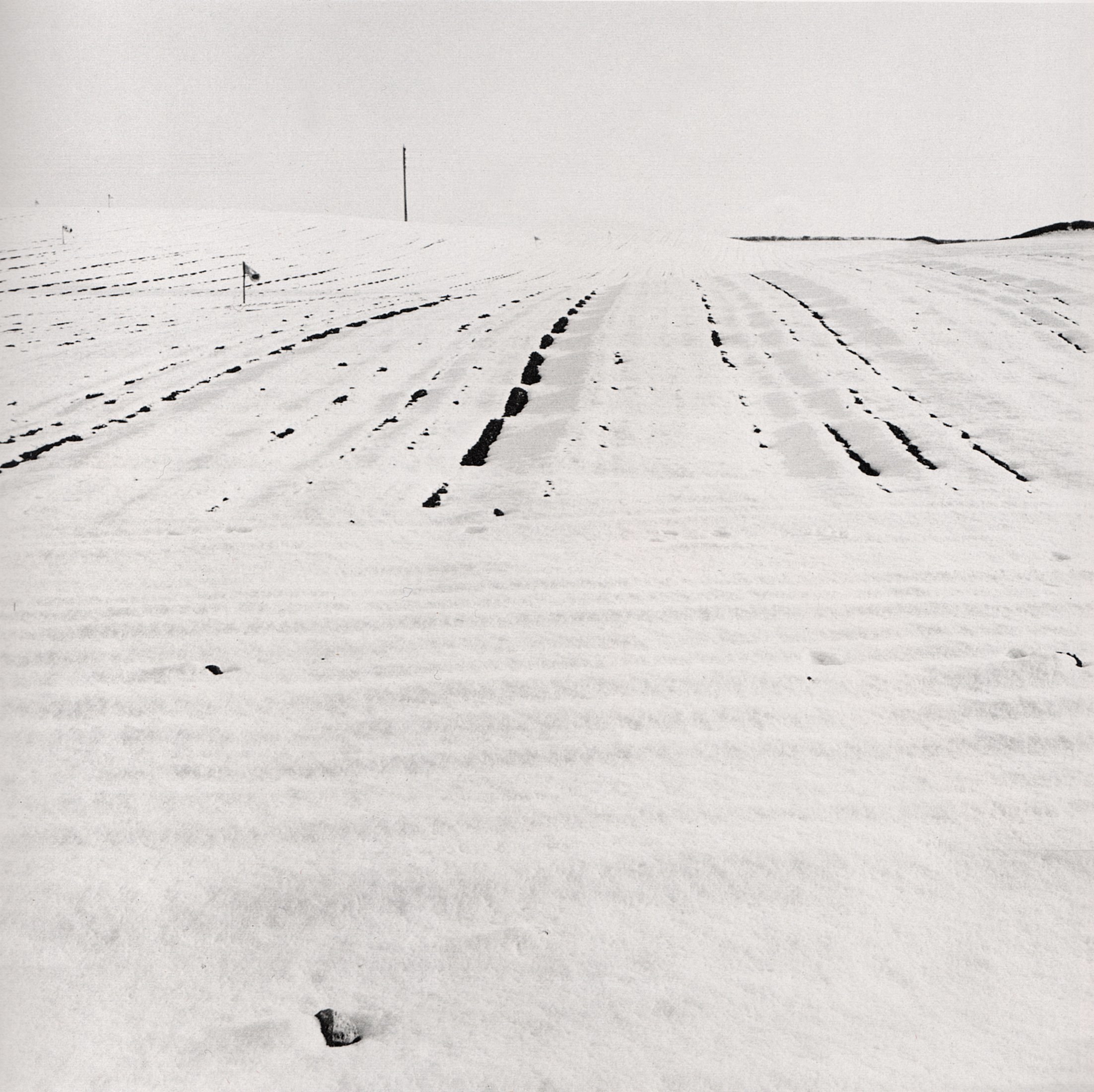 snow-covered field with tracks