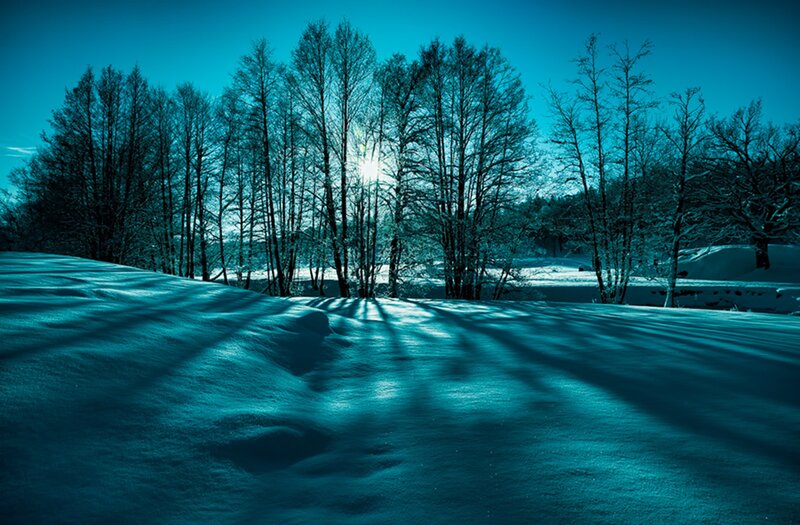 Snow-covered Field with Trees — Blue, Serene
