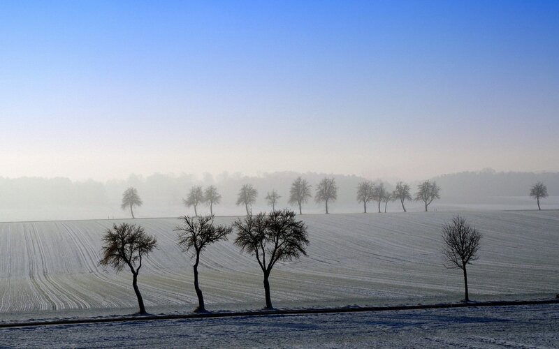 Snow-covered Field with Trees — Blue, Serene, Winter