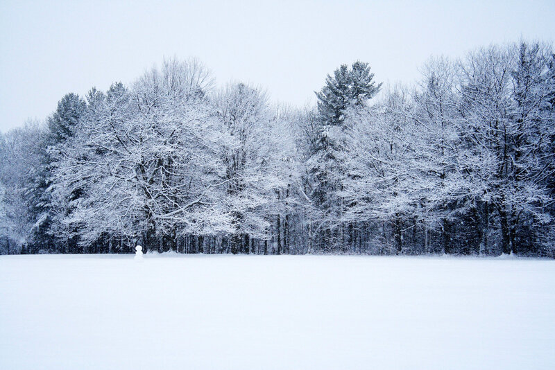 snow-covered field with trees
