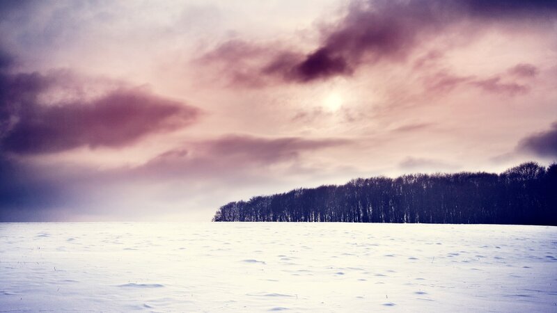 Snow-covered Field with Trees — White, Dramatic