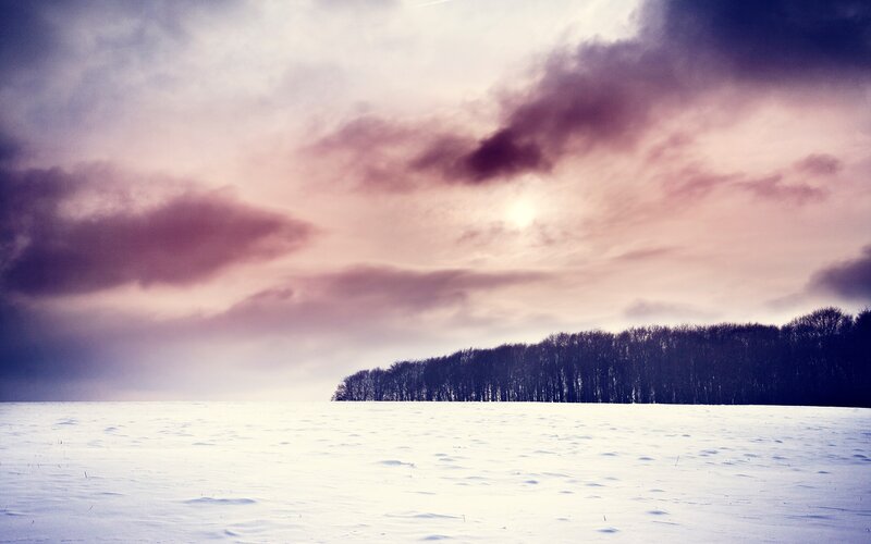 Snow-covered Field with Trees — White, Dramatic, Winter