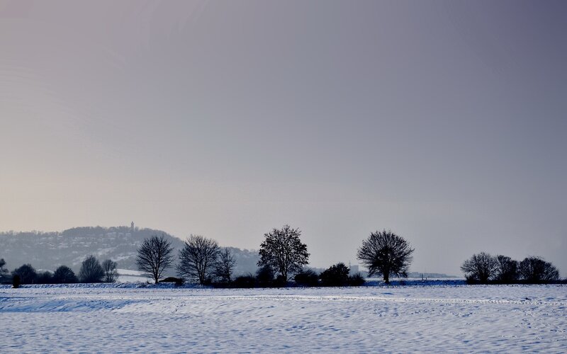 Snow-covered Field with Trees — White, Serene, Winter, Photograph, Hills