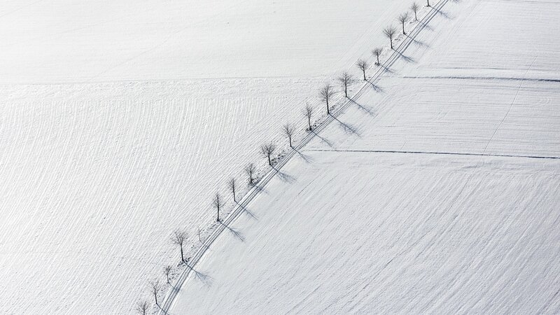Snow-covered Field with Trees — White, Serene, Winter, Photograph, Shadows