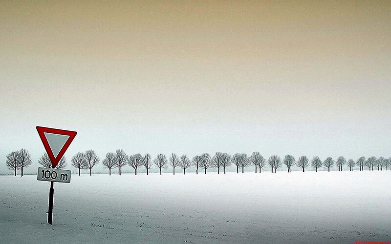 Snow-covered Field with Trees — White, Serene, Winter, Photograph