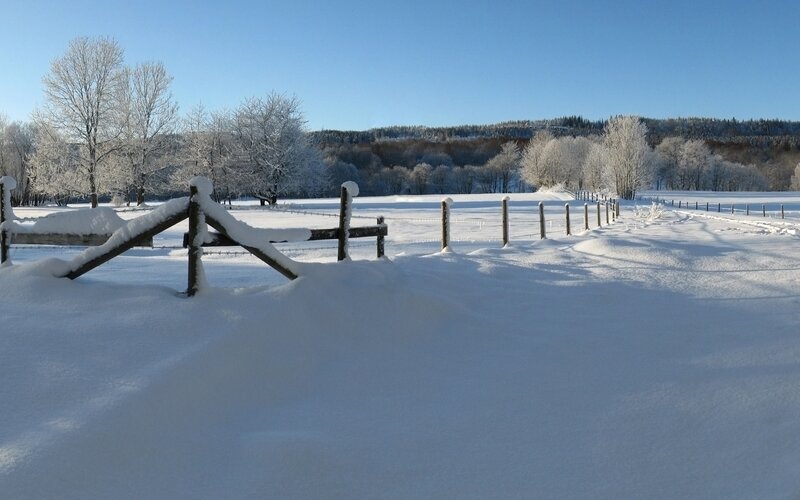 Snow-covered field with wooden fence