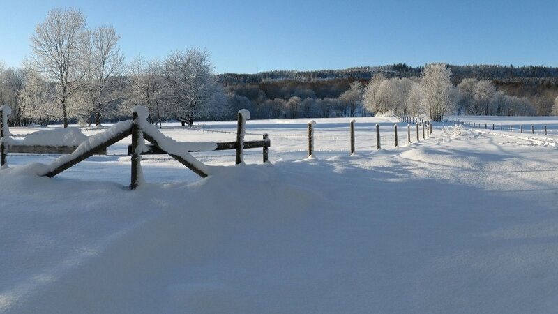 Snow-covered field with wooden fence