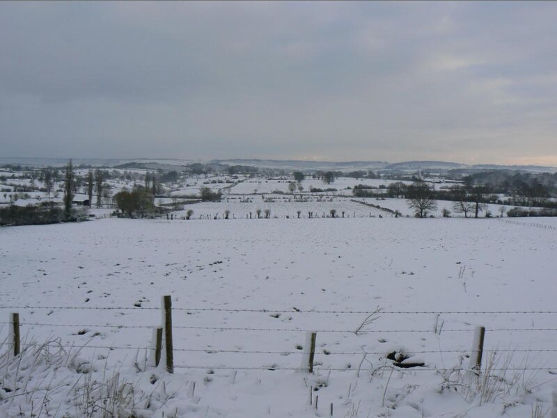 Snow-covered Fields