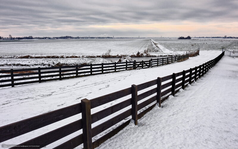 Snow-covered Fields — White, Serene