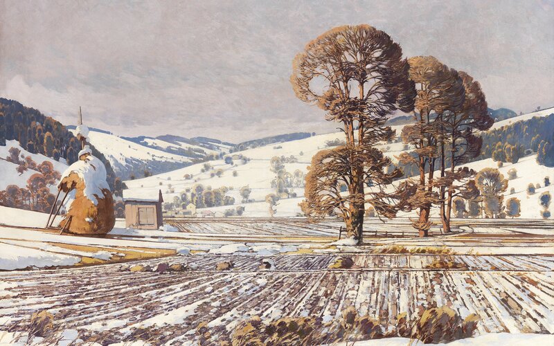 Snow-covered Fields — White, Serene, Winter
