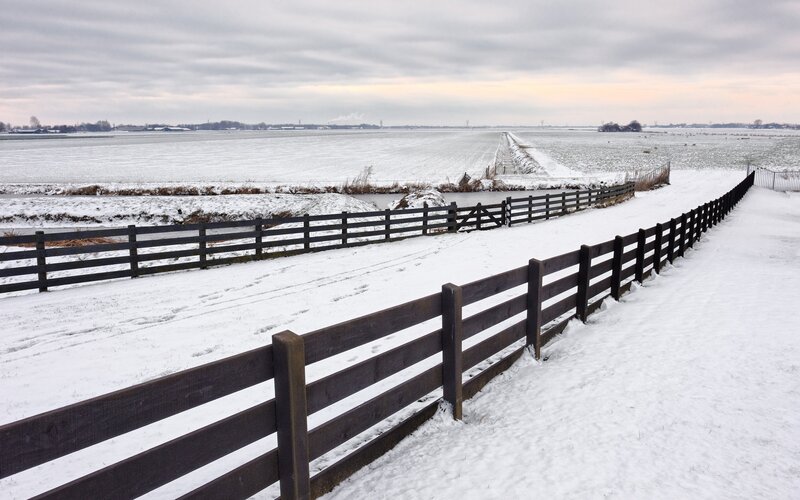 Snow-covered Fields — White