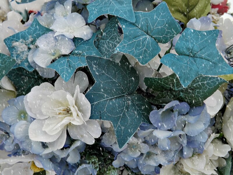 Snow-covered Flowers and Leaves