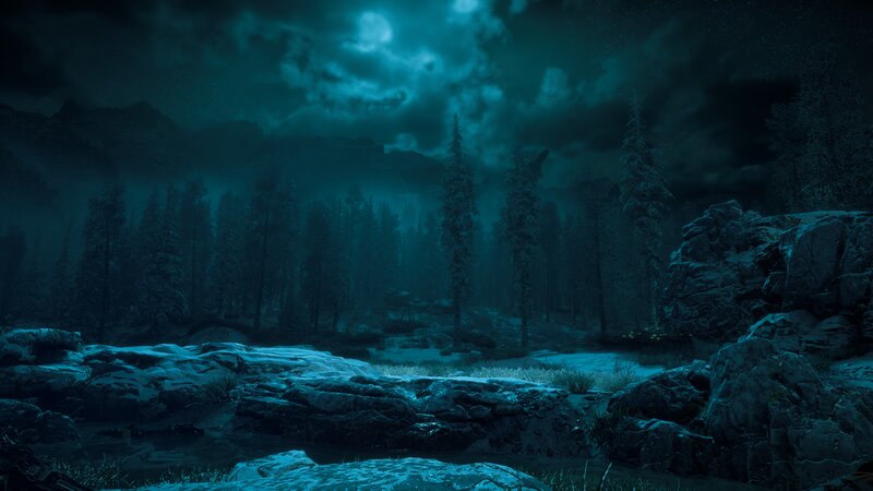 Snow-covered Forest at Night — Blue, Dark